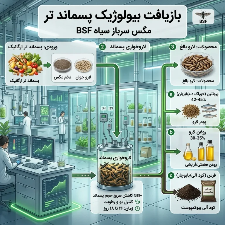 انقلاب در مدیریت پسماند تر با فناوری «مگس سرباز سیاه»